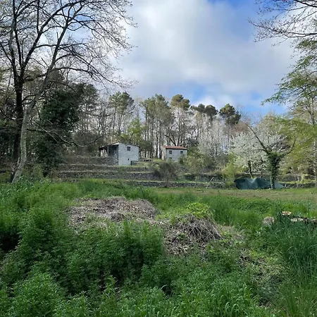 Casa Nel Bosco Sul Golfo Dei Poeti - Bruxinha Feriehus *