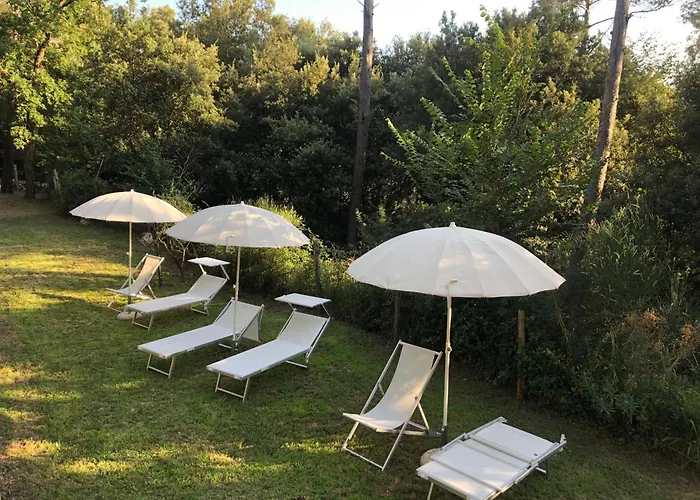 Casa Nel Bosco Sul Golfo Dei Poeti - Bruxinha * Monte Marcello