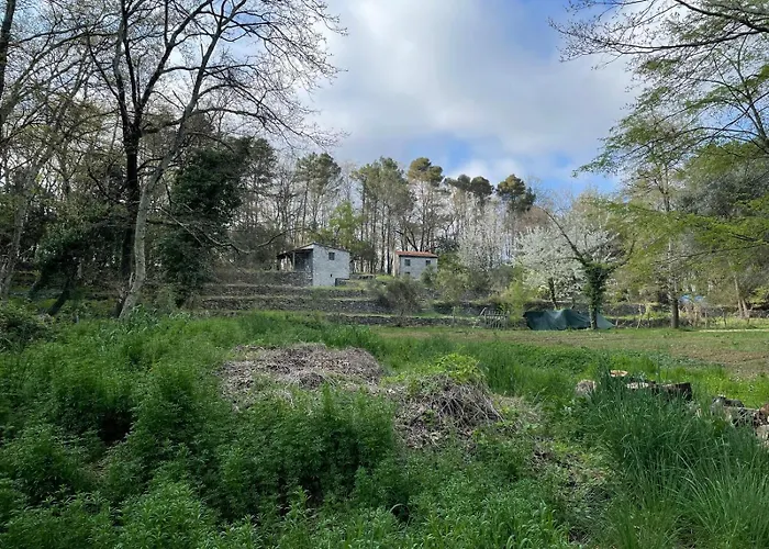 Casa Nel Bosco Sul Golfo Dei Poeti - Bruxinha Semesterbostad *